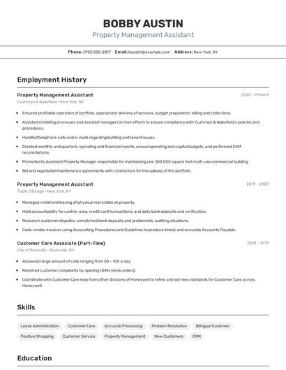 Resume example 2