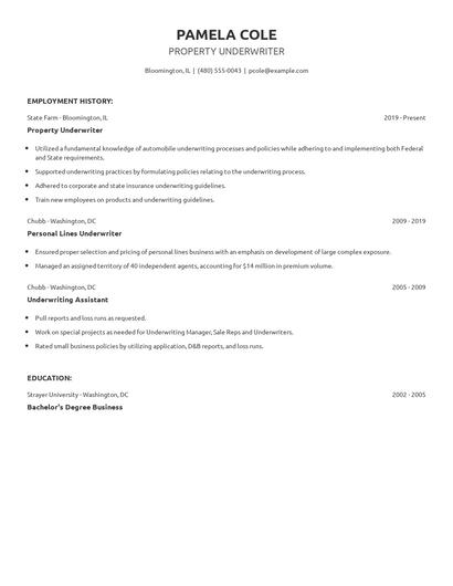 Property Underwriter Resume