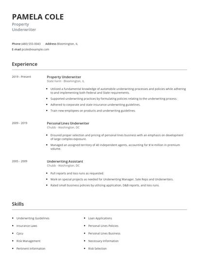 Property Underwriter Resume