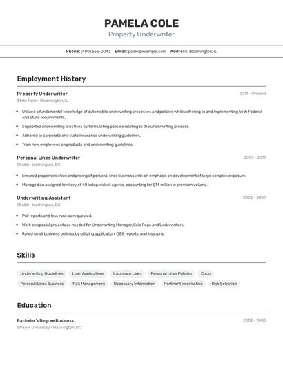 Property Underwriter Resume