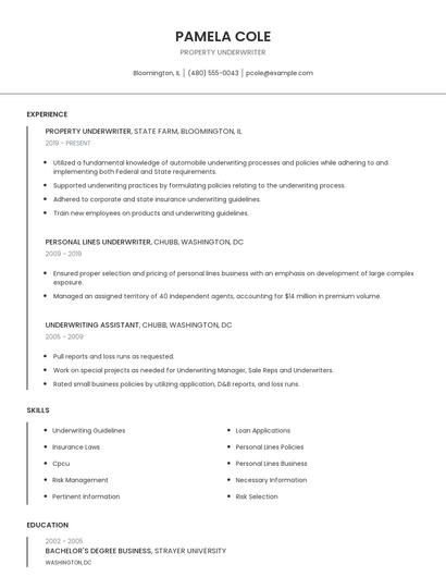Property Underwriter Resume