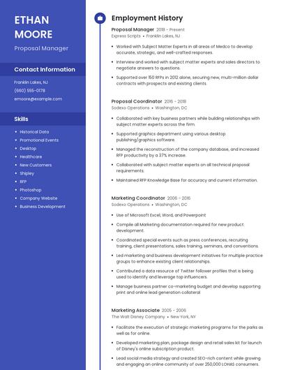 Resume example 5