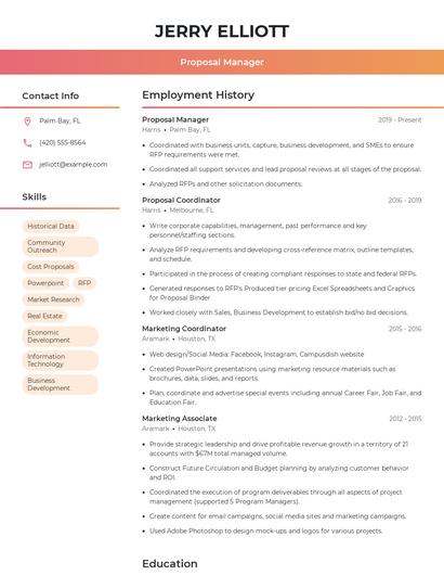 Resume example 3