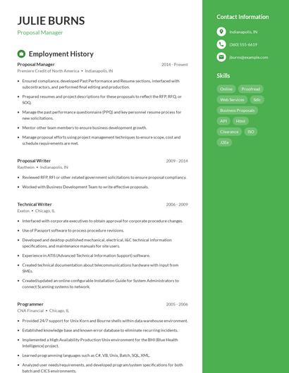 Resume example 4