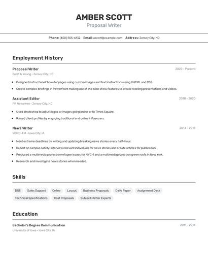 Proposal Writer Resume