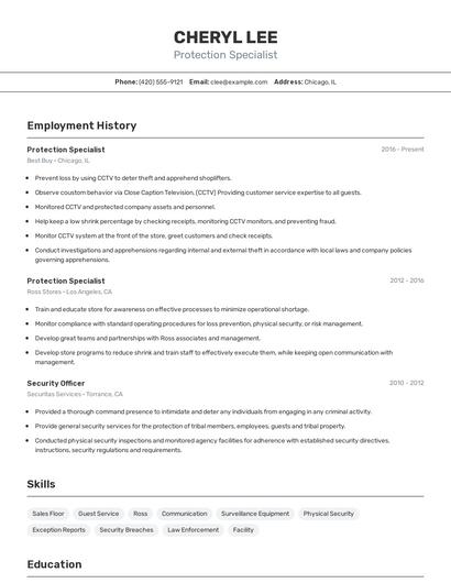 Resume example 2