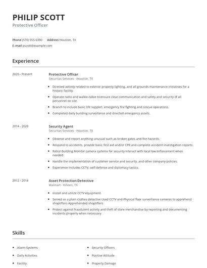Protective Officer Resume