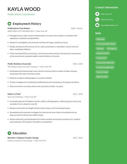 Resume example 4