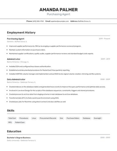 Resume example 2
