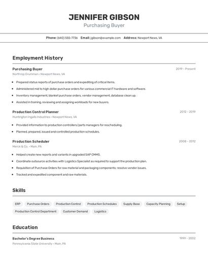 Resume example 2