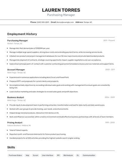 Resume example 2