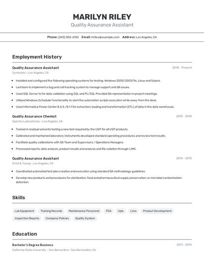 Resume example 2