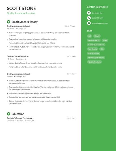 Resume example 4