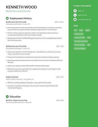 Resume example 5