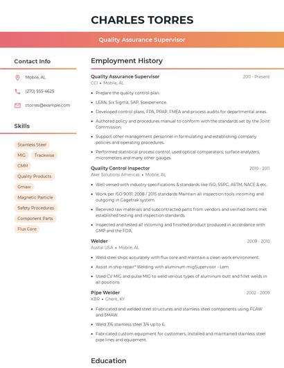 Resume example 3