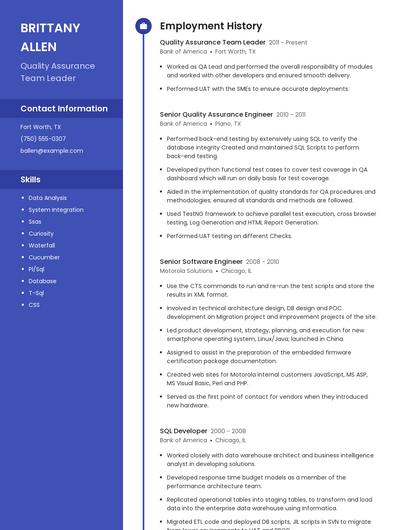 Resume example 4
