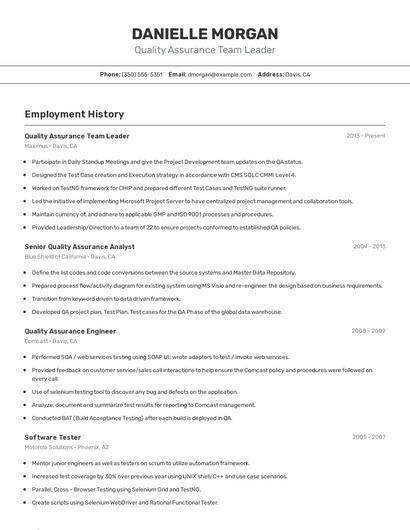Resume example 2