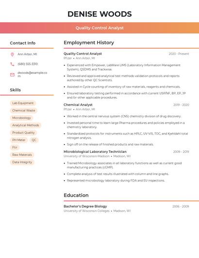 Resume example 3