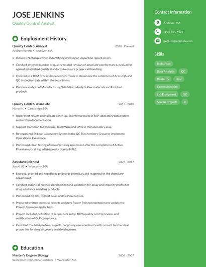 Resume example 4