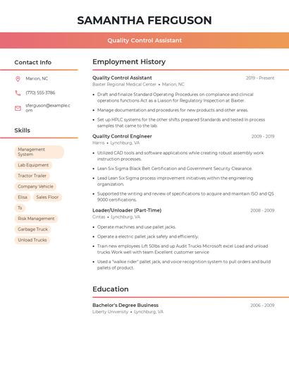 Resume example 3