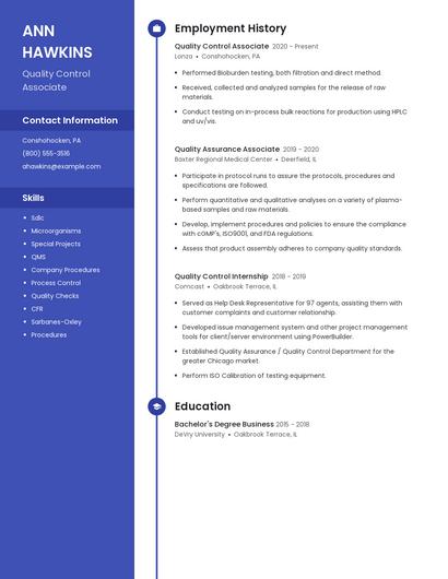 Resume example 4
