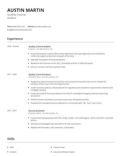 Quality Control Auditor Resume