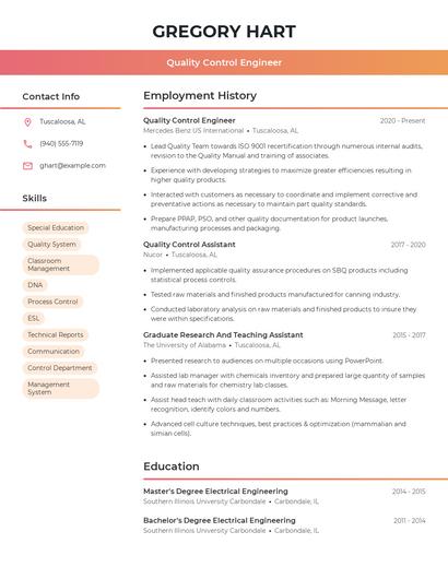 Resume example 3