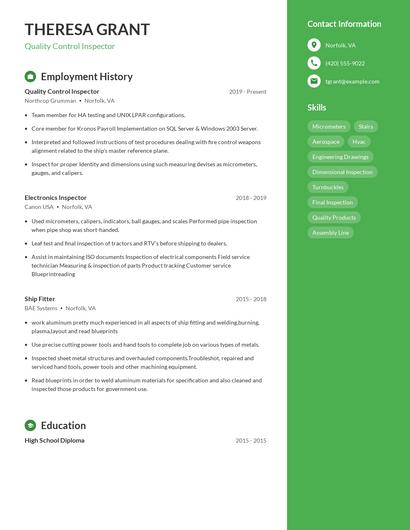Resume example 4