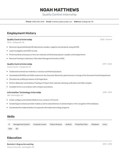 Resume example 2