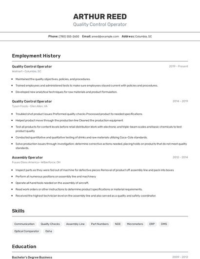 Resume example 2