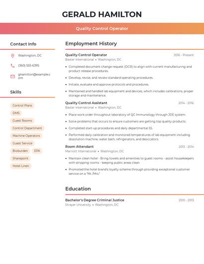 Resume example 3