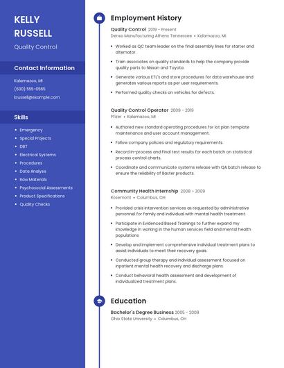 Resume example 4