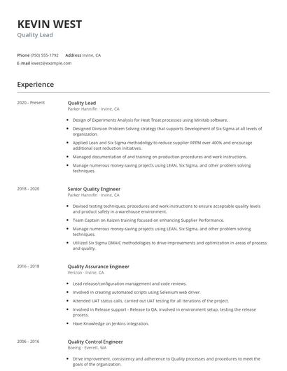 Quality Lead Resume