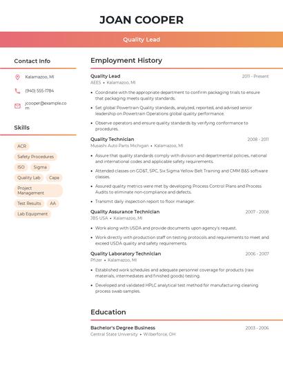 Resume example 3
