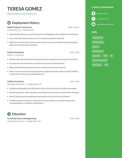Resume example 4