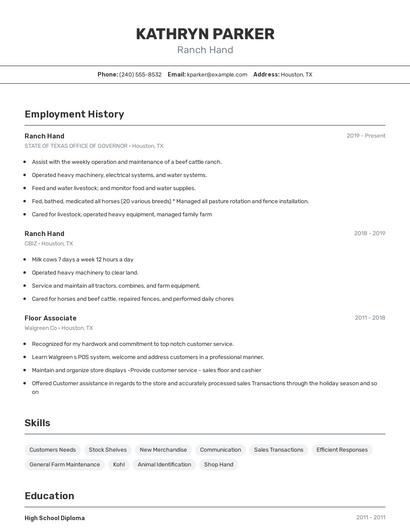 Resume example 2