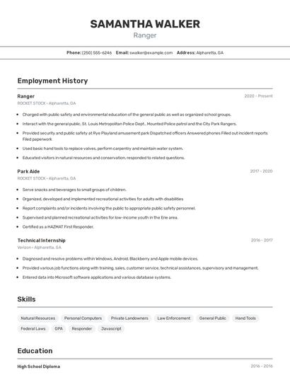 Resume example 2