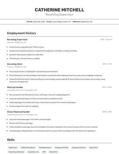 Resume example 2
