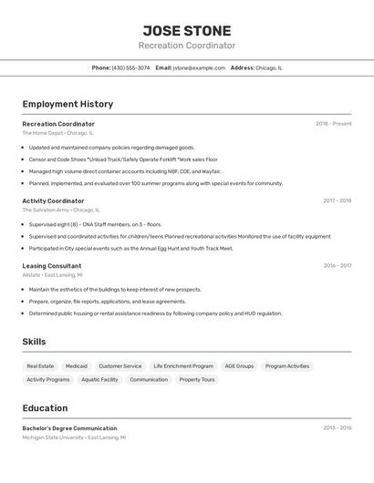 Resume example 2