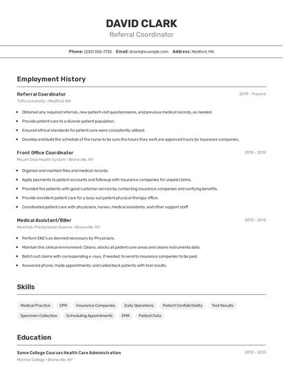 Resume example 2