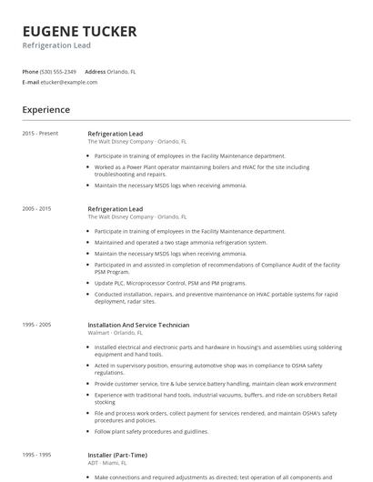 Refrigeration Lead Resume