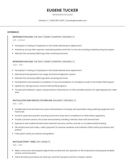 Refrigeration Lead Resume