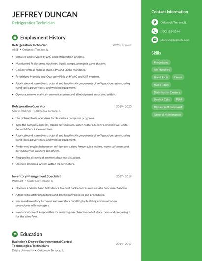 Resume example 4