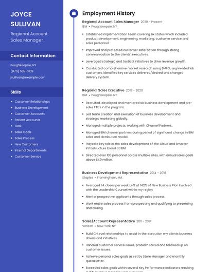 Regional Account Sales Manager Resume