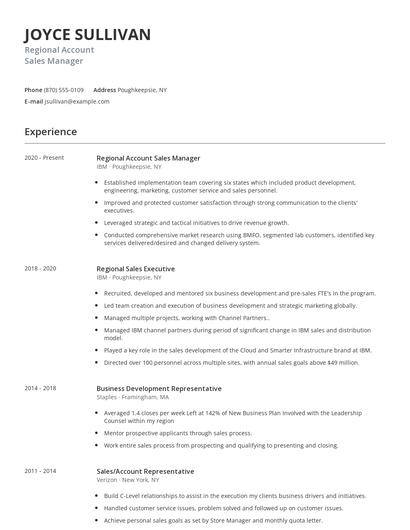 Regional Account Sales Manager Resume