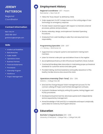 Resume example 4