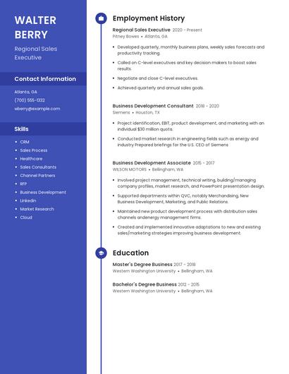 Regional Sales Executive Resume
