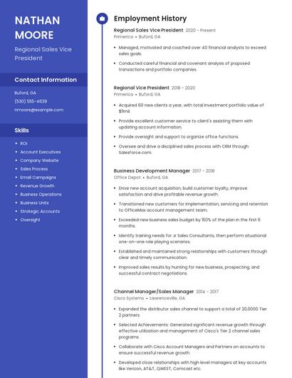 Regional Sales Vice President Resume