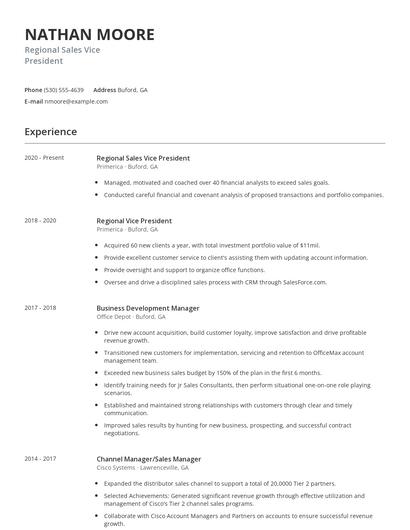 Regional Sales Vice President Resume