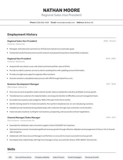 Regional Sales Vice President Resume